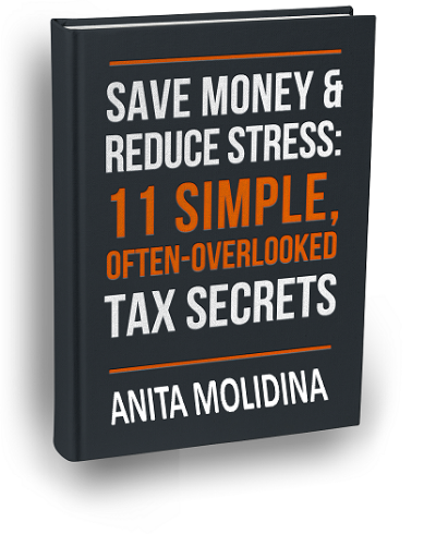 Picture of Anita's tax secrets book